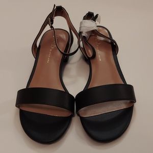 Black Low Heel Ankle Strap Sandals by Rohb